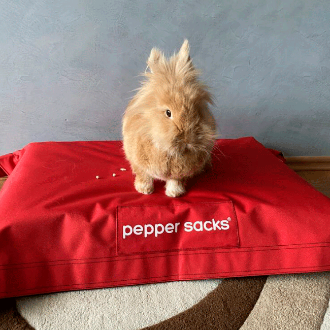 camas para conejos camas para conejos